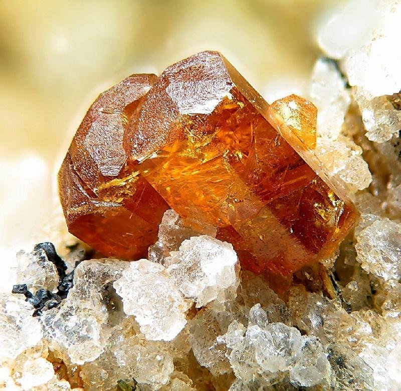 Rare Earth Elements (REE) 